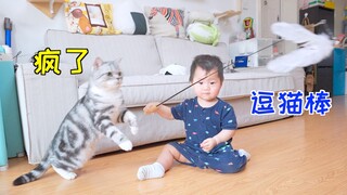 当人类幼崽学会了玩逗猫棒 家里猫就疯了！