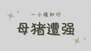 男子因导致数头母猪患上阴道炎，有望喜提120年监禁