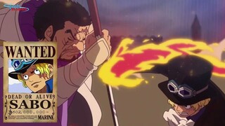 [SBS#21]. Luffy và Sabo ai mạnh hơn? Các tân tinh có đang mạnh lên quá nhanh! p3