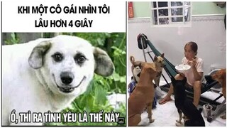 " Ồ, thì ra là vại"