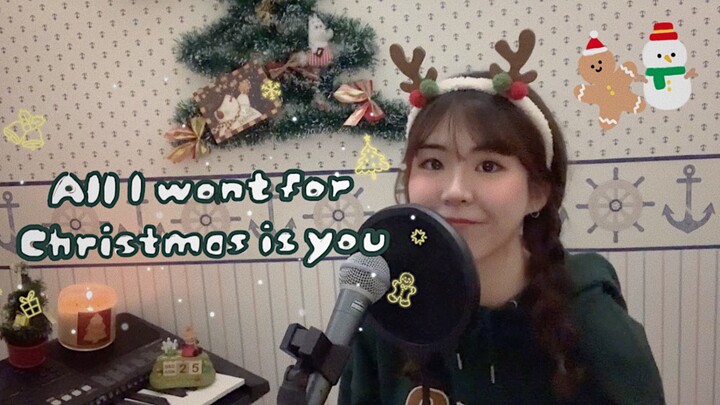 【วงเดี่ยว】เพลง"All I want for Christmas is you" 