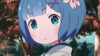 Rem. My waifu