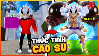 Songfish Đã Thức Tỉnh Trái Ác Quỷ Cao Su 😱 Bản Cập Nhật Nhiều Trái Ác Quỷ Mới Blox Fruit | Roblox