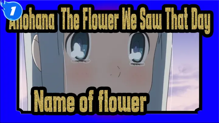 Anohana: The Flower We Saw That Day
Name of flower_1