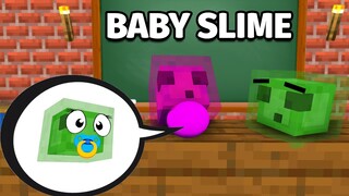 Monster School : Slime baby Life Challenge - Funny Minecraft Animation