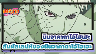 [นินจาคาถาโอ้โฮเฮะ/เร่าร้อน] สัมผัสเสน่ห์ของนินจาคาถาโอ้โฮเฮะ