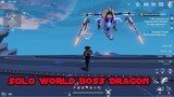 Solo World Boss Frostfire Dragon