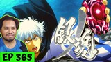 THE PLOT THICKENS!!! WE NEED MORE! 😭 | Gintama Episode 365 [REACTION]