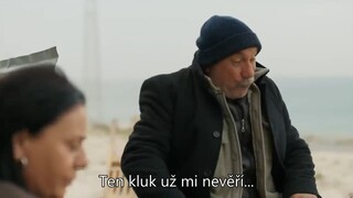 Ley26