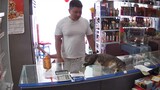 Ketika bos memelihara kucing di supermarket, reaksi pelanggan yang berbeda setiap hari terlalu lucu,