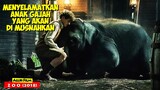 Perjuangan Untuk Menyelamatkan Gajah Di Kebun Binatang | Alur Cerita Film ZOO (2018)