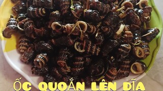 MÓN ỐC LEN XÀO ME || Cuộc sống Cần giờ