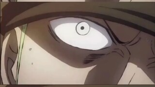 Zoro VS Fujitora
