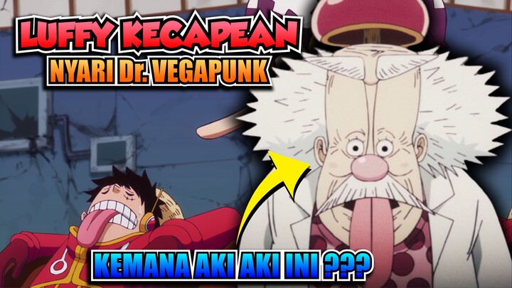 LUFFY KECAPEAN NYARI Dr. VEGAPUNK !!! KEMANA AKI-AKI INI ???