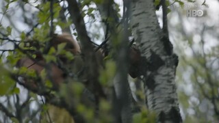 The Last of Us season 1 EP 9 พากย์ไทย(จบซีซั่น1)