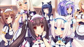 女人哪里有猫重要【秋凛子Rinco】