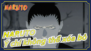 NARUTO| Ý chí không thể xóa bỏ