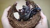  It Took a Year to Create a Young Dragon Cub