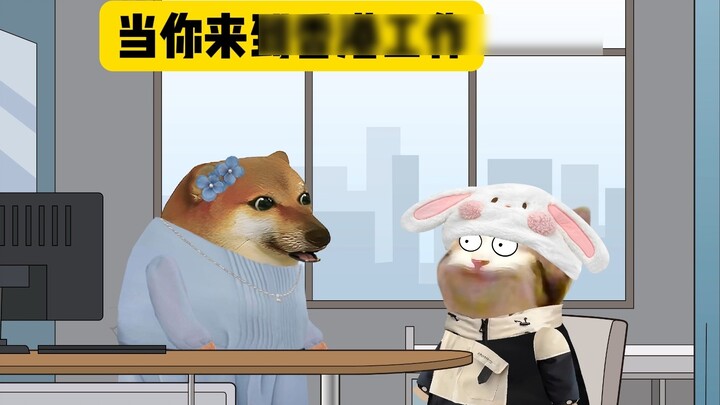 When you first came to Hong Kong to work