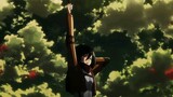 Khuôn mặt búi tóc của Mikasa
