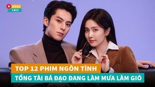 Top 12 phim ngôn tình Tổng Tài Bá Đạo Hoa Ngữ được mong đợi lên sóng nhất hiện nay|Hóng Cbiz