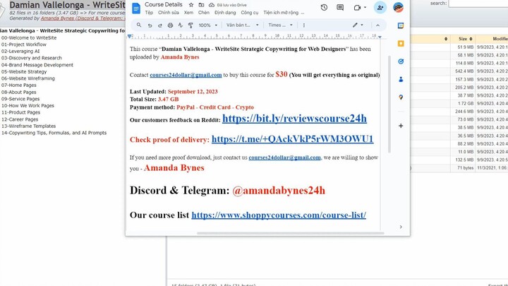 [$30] Damian Vallelonga – WriteSite Strategic Copywriting for Web Designers