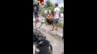 Aldous na baog