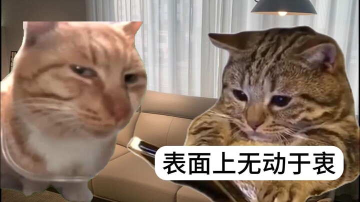 当你发自拍给男友
