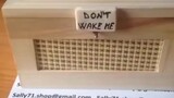 don't wake me 😾