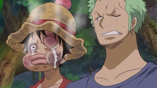 Ini pasti saat tersulit yang pernah dikalahkan Luffy!