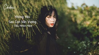 [Vietsub + Pinyin] Không Yêu Sao Còn Vấn Vương (不爱又何必纠缠) - Tiểu Nhãn Hâm