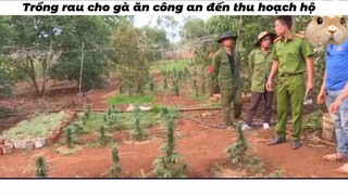 Đốt lên cả làng cùng p.h.ê hay gì #funny #haihuoc