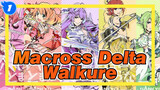 [The Super Dimension Fortress Macross Delta/MAD] Walkure Never Stop_1
