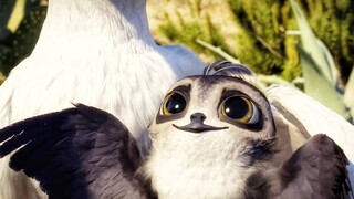 Seagull Mother Adopts Orphan Swift Chick, Although Nature Never Allowed Him To Fit In Them But...!!