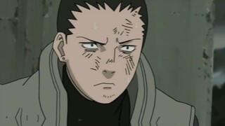 shikamaru edit  Asuma Sarutobi