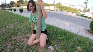 trol khóa chân dưới gốc cây phần 4