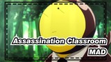 [Assassination Classroom] Sensei bisa berkelahi dalam kartun
