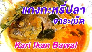 มาดูมากันEP28 : แกงกะหรี่ปลาจาระเม็ด Kari Ikan Bawal