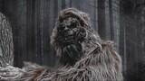 The Quachita Beast incident Official Trailer