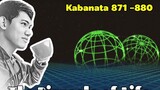 The Pinnacle of Life / Kabanata 871 - 880