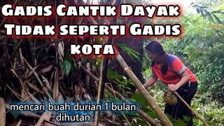 cantiknya Gadis Dayak mencari buah durian di pedalaman hutan KALIMANTAN