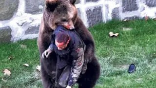UNBELIEVABLE Bear Attacks & Interactions CAUGHT ON CAMERA! | Best Moments