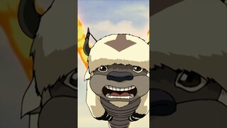 Appa moment in Avatar: The Last Airbender 😮 #avatarthelastairbender