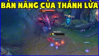 Bản năng đã ăn vào máu của thánh lừa PinkWard, Lý do vì sao đây là skin yêu thích nhất của Tyler1