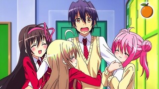 Rekomendasi Anime Harem Dengan Tokoh Utama Dikelilingi Banyak Cewek Cantik ‼️