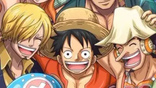 Meet The Straw hat Pirates. Rate it 1-10 comment it.