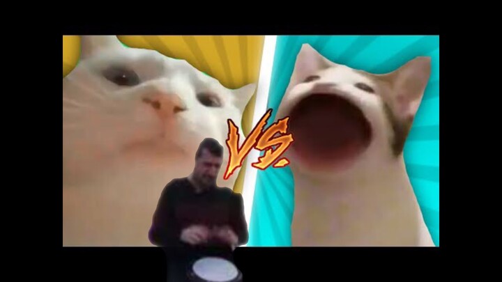 Pop cat VS vibing cat