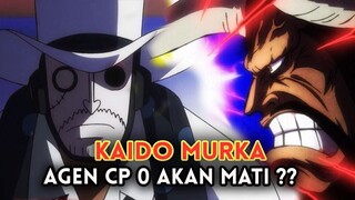 OP 1042+ !! CP 0 PANIK KAIDO AKAN HABISIN MEREKA KARNA HAL INI ( ONE PIECE )