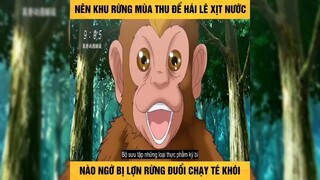 Review Phim- Toriko Thợ Săn Ẩm Thực - Anime Hay Nhất