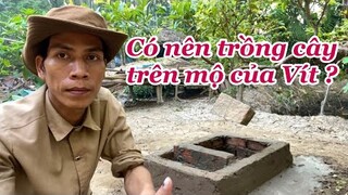 Ý Tưởng Mới Cho Ngôi Nhà Của Vít